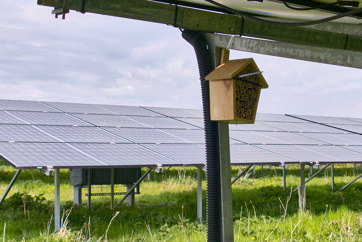 Insektenhotel im Solarpark Dörnten
