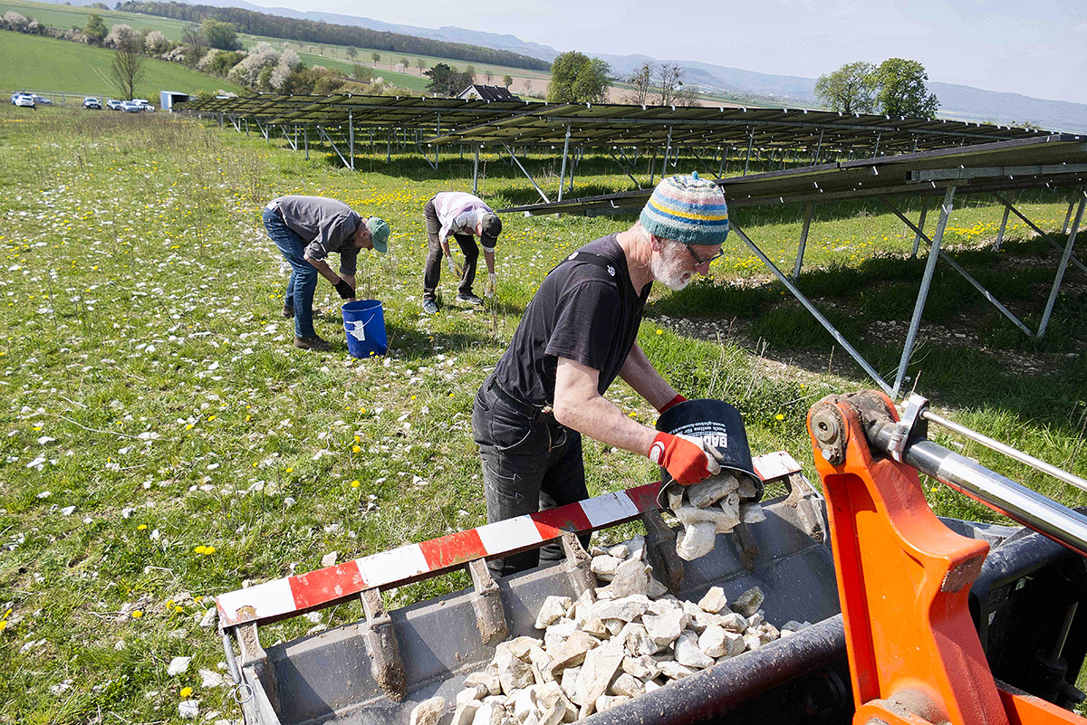 Steine sammeln für Feuerwehr und Kleintiere im Solarpark Dörnten