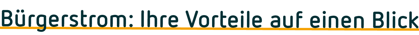 vorteile buergerstrom